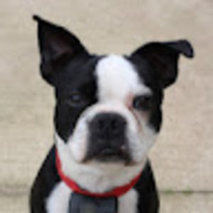 Meet your Posher, Carrie